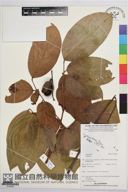 登錄號:S195990藏品圖，第1張