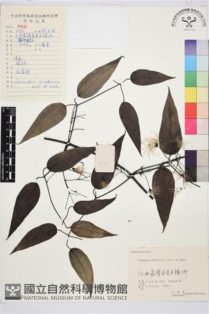 山木通藏品圖，第1張