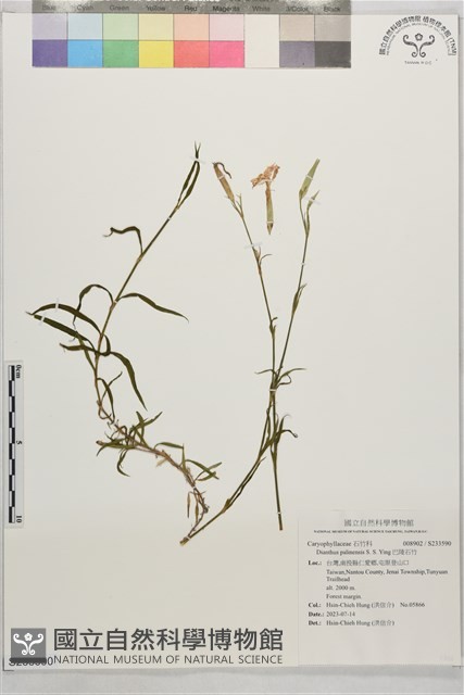 巴陵石竹藏品圖，第1張