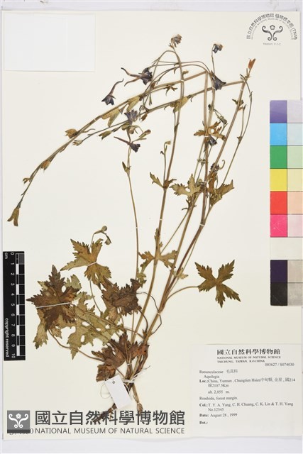 登錄號:S074030藏品圖，第1張