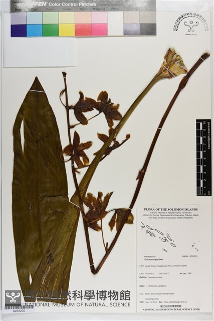 登錄號:S203230藏品圖，第1張
