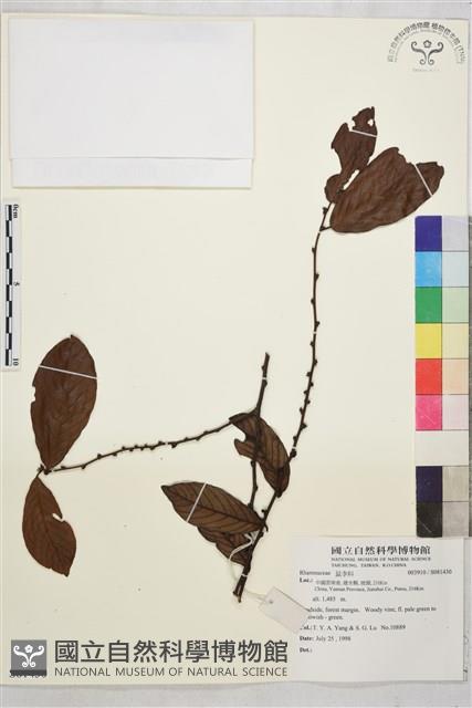 登錄號:S081430藏品圖，第1張