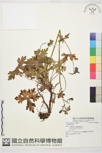 登錄號:S080130藏品圖，第1張