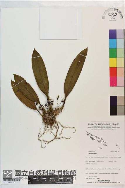 登錄號:S201330藏品圖，第1張