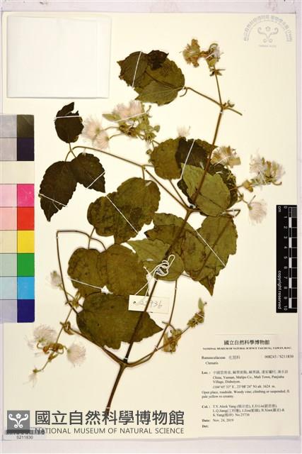 登錄號:S211830藏品圖，第1張