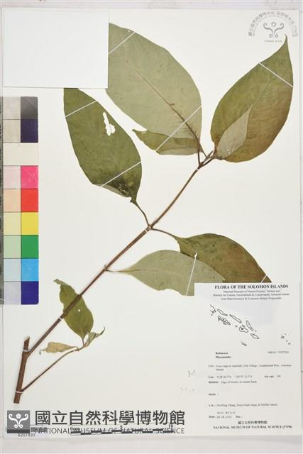 登錄號:S207830藏品圖，第1張