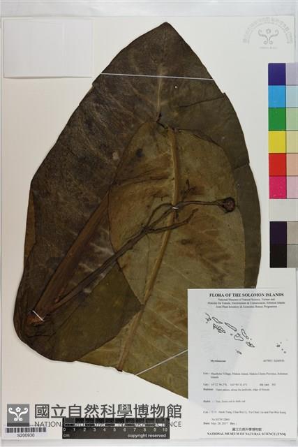 登錄號:S200930藏品圖，第1張