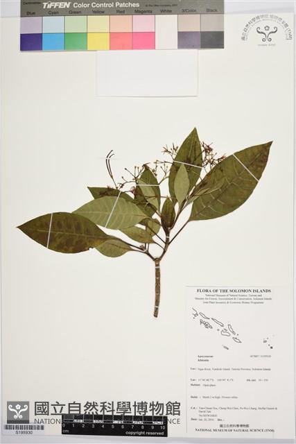 登錄號:S195930藏品圖，第1張