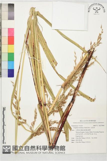 光高梁藏品圖，第1張