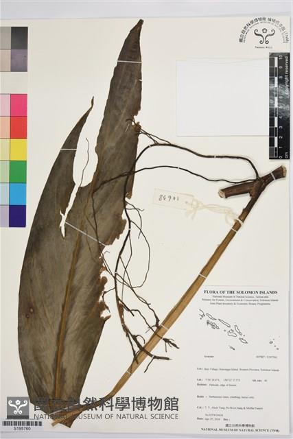 登錄號:S195760藏品圖，第1張