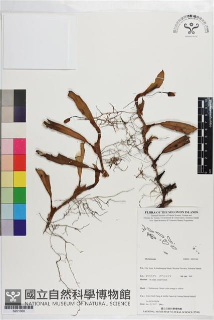 登錄號:S201360藏品圖，第1張