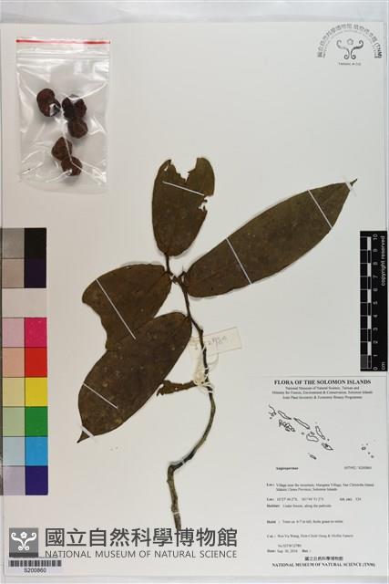 登錄號:S200860藏品圖，第1張