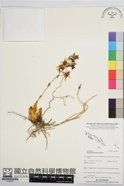 登錄號:S195860藏品圖，第1張