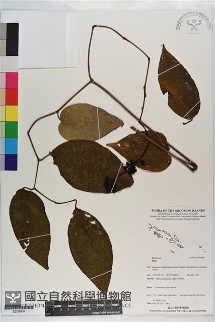登錄號:S200960藏品圖，第1張