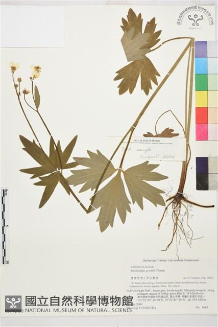 登錄號:S074560藏品圖，第1張