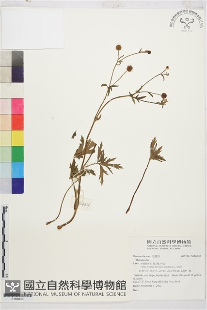 登錄號:S186640藏品圖，第1張