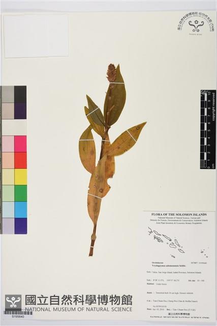 登錄號:S195640藏品圖，第1張