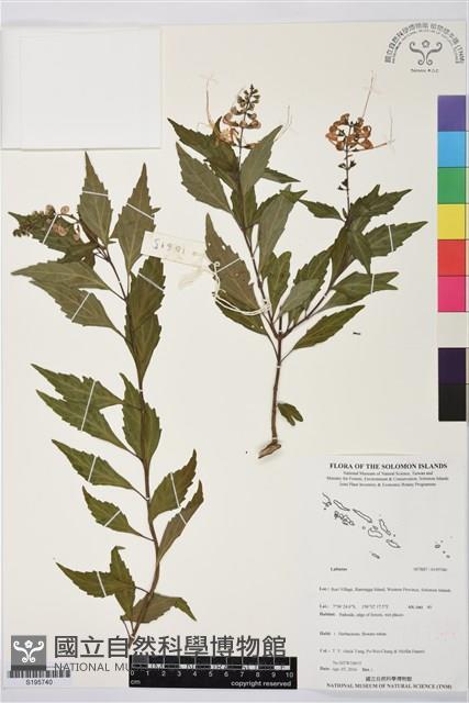 登錄號:S195740藏品圖，第1張