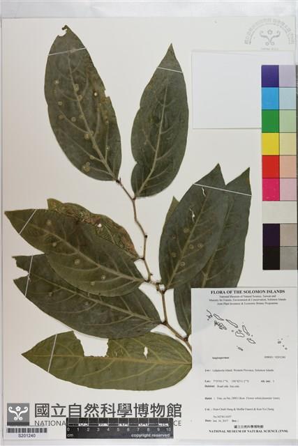 Accession Number:S201240 Collection Image