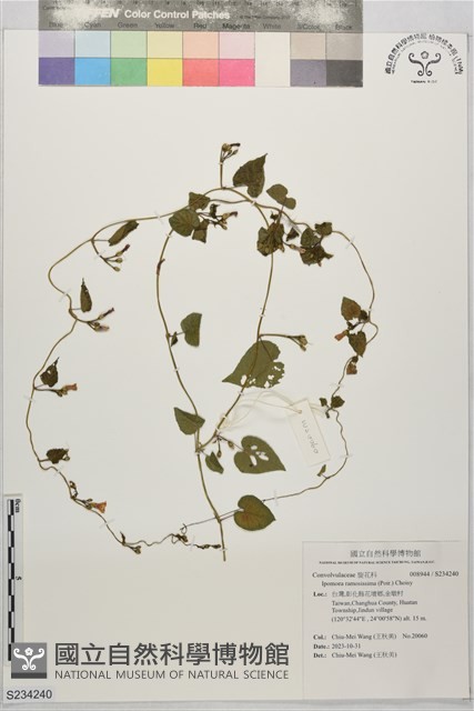 登錄號:S234240藏品圖，第1張