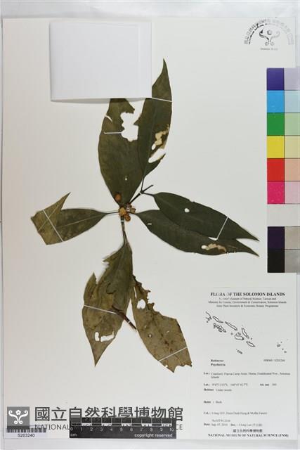 登錄號:S203240藏品圖，第1張