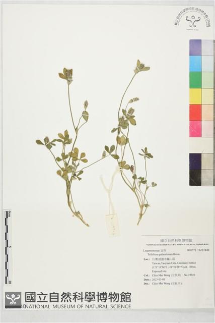 登錄號:S227440藏品圖，第1張