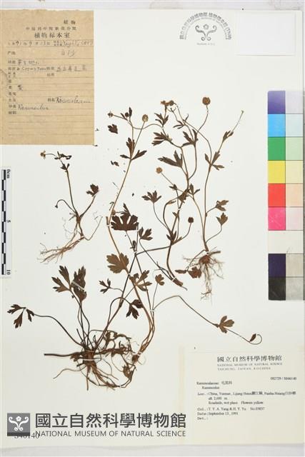 登錄號:S046140藏品圖，第1張