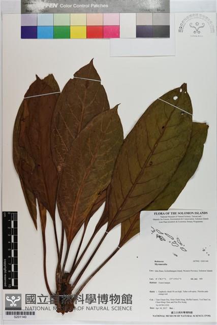 登錄號:S201140藏品圖，第1張
