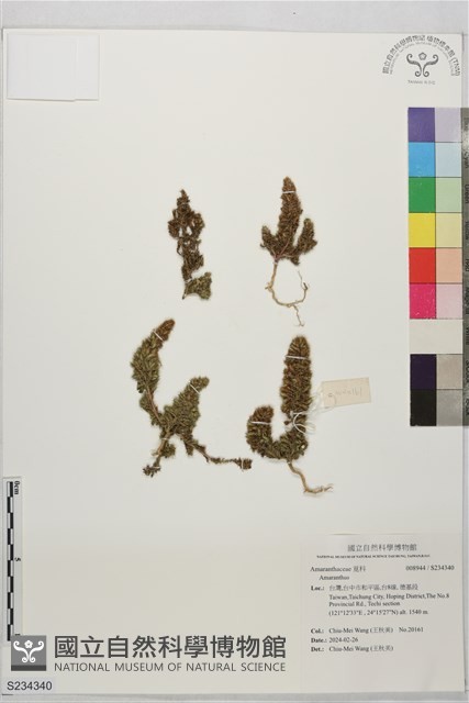 登錄號:S234340藏品圖，第1張