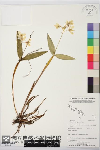 登錄號:S195840藏品圖，第1張