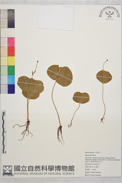 登錄號:S174840藏品圖，第1張