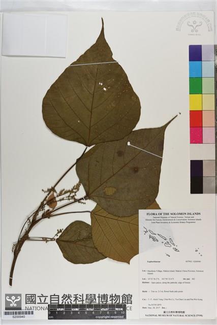 登錄號:S200940藏品圖，第1張