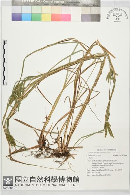 登錄號:S232540藏品圖，第1張