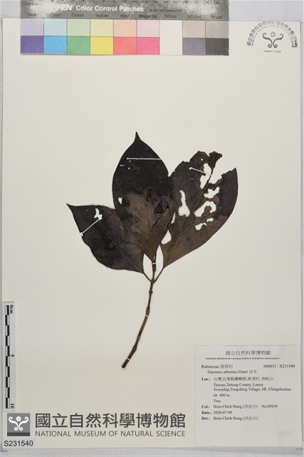 貝木藏品圖，第1張