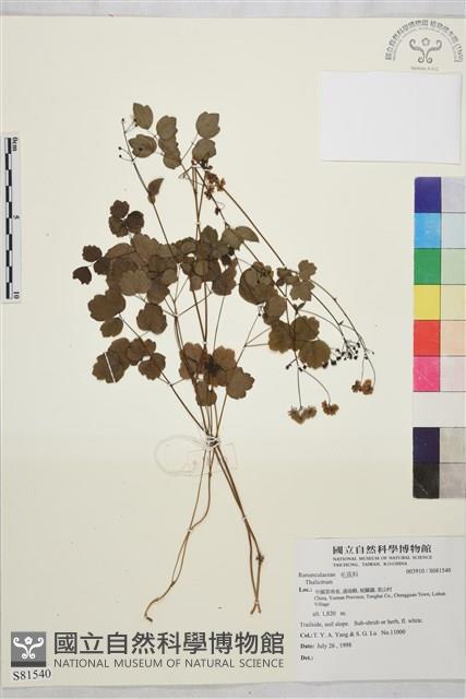 登錄號:S081540藏品圖，第1張