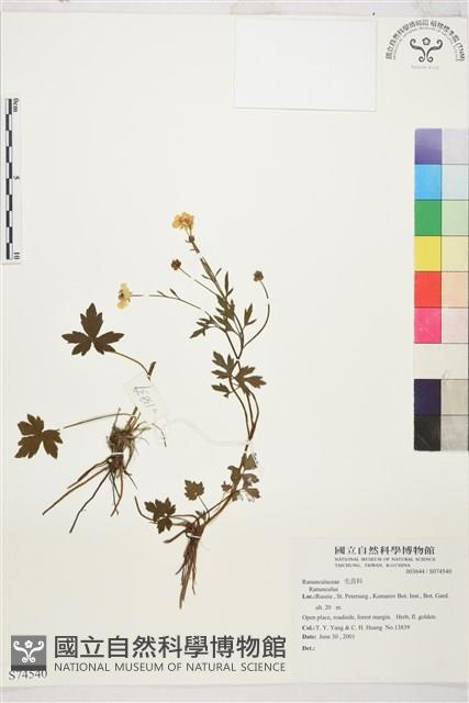 登錄號:S074540藏品圖，第1張