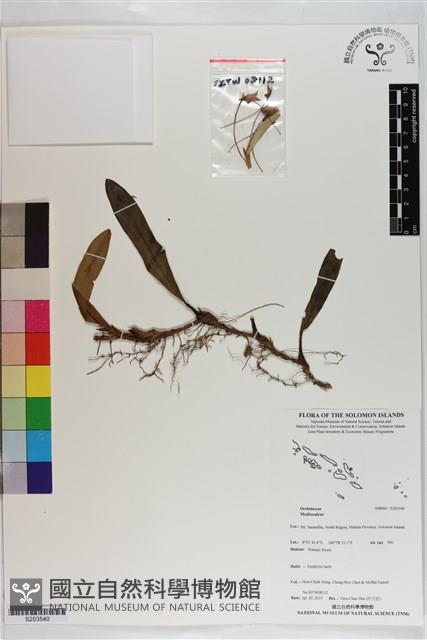 登錄號:S203540藏品圖，第1張
