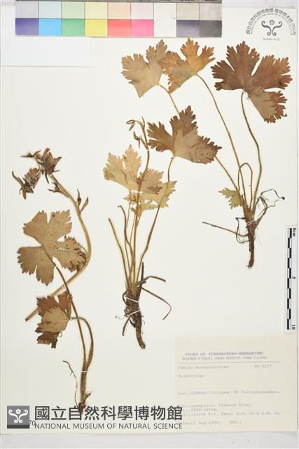 登錄號:S031670藏品圖，第1張