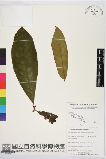 登錄號:S195670藏品圖，第1張