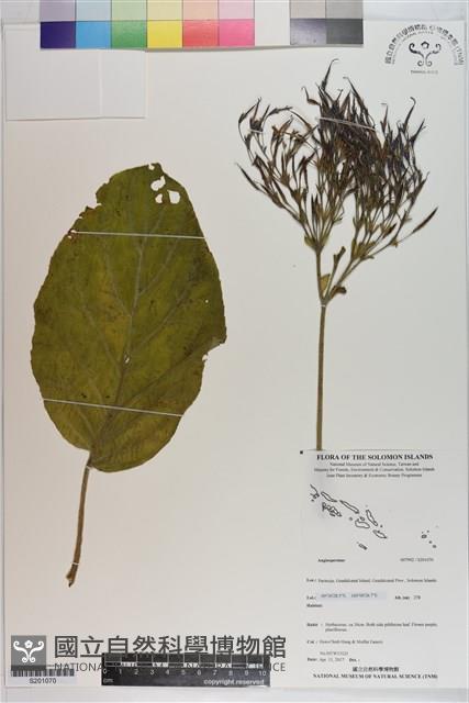 登錄號:S201070藏品圖，第1張