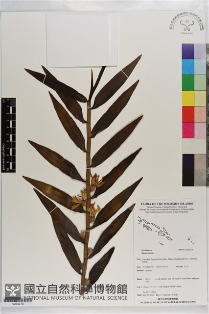 登錄號:S203270藏品圖，第1張