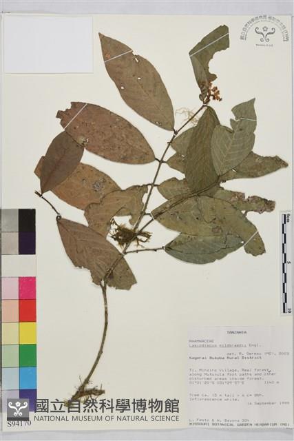 登錄號:S094170藏品圖，第1張