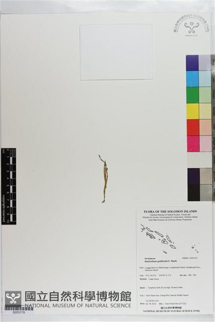 登錄號:S203170藏品圖，第1張