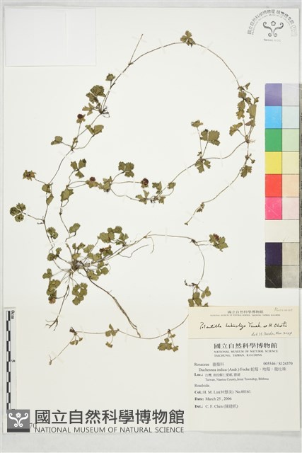 登錄號:S124370藏品圖，第1張