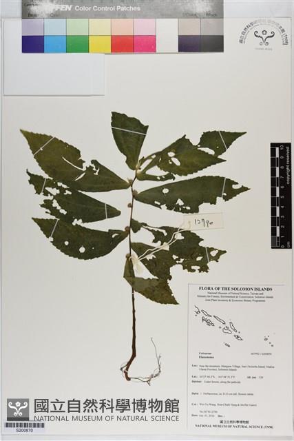 登錄號:S200870藏品圖，第1張