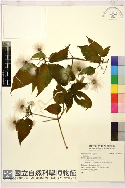 登錄號:S146970藏品圖，第1張