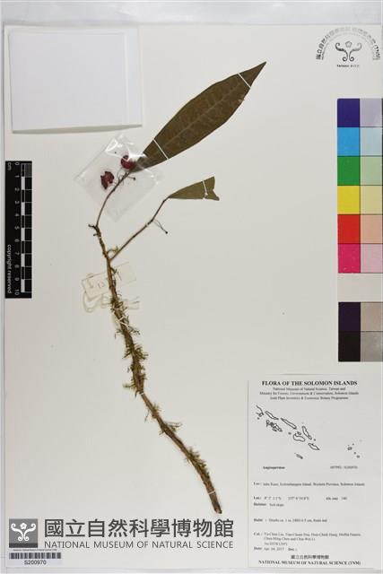 登錄號:S200970藏品圖，第1張