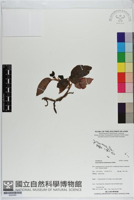 登錄號:S200080藏品圖，第1張