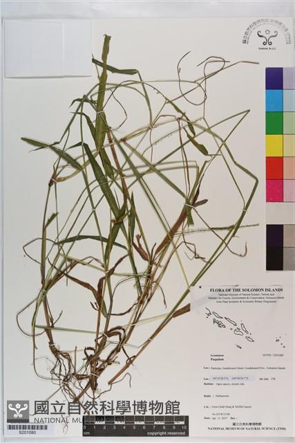 登錄號:S201080藏品圖，第1張