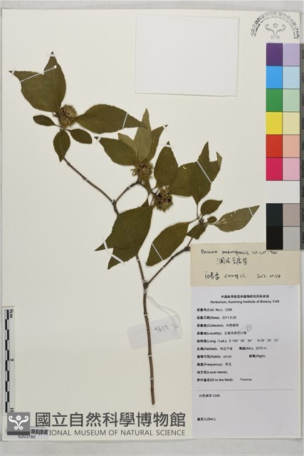 登錄號:S203780藏品圖，第1張